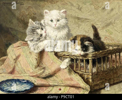 Ronner-Knip Henriùebtte - trois chatons à jouer Banque D'Images