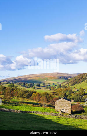 La belle campagne anglaise paysage de Swaledale dans le Yorkshire Dales National Park, England UK Banque D'Images