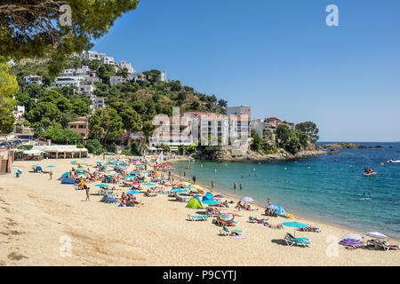 Canyelles roses sur le Cap Creus Costa Brava Banque D'Images