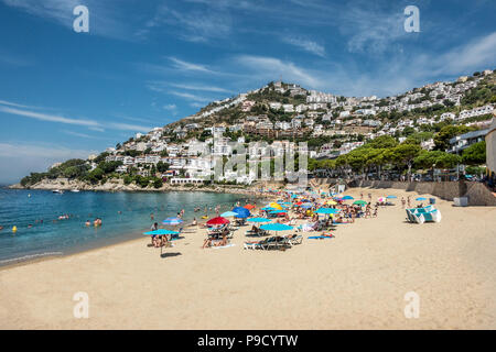 Canyelles roses sur le Cap Creus Costa Brava Banque D'Images