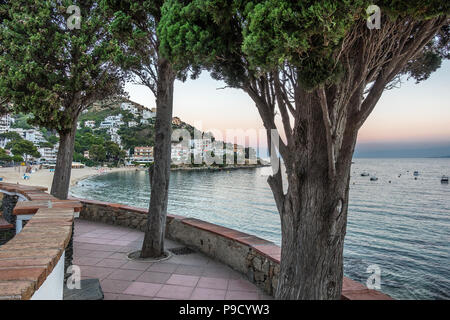 Canyelles roses sur le Cap Creus Costa Brava Banque D'Images