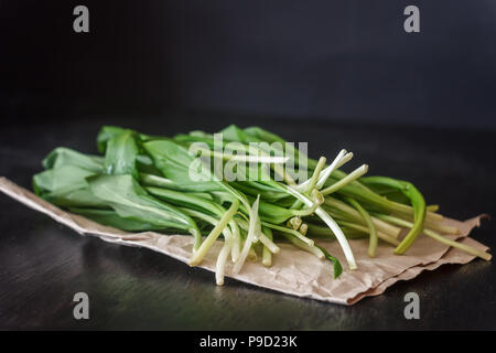 Ramson frais ail sauvage, choux vert dans un sac de jute sur un fond de bois foncé, selective focus Banque D'Images