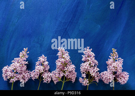 Fond bleu peint de fleurs de branches de lilas au bas et à l'exemplaire de l'espace. Banque D'Images