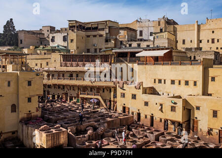 Maroc,Fes,tannerie Chouara Banque D'Images