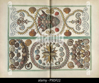 Modèle sealife Banque D'Images