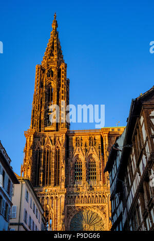 Strasbourg cathédrale gothique Notre-Dame, 14e siècle, l'Alsace, France, Europe, Banque D'Images