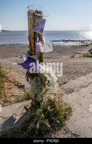 Fleurs qui ont réussi leur meilleur dans la mémoire de quelqu'un qui est décédé sur la rivière Humber. Banque D'Images