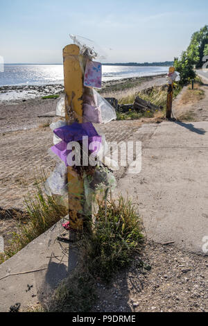 Fleurs qui ont réussi leur meilleur dans la mémoire de quelqu'un qui est décédé sur la rivière Humber. Banque D'Images