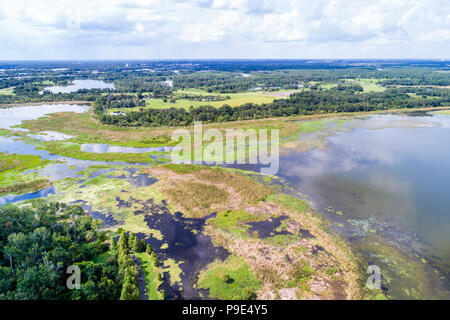 Lakeland Florida,Lake Parker,vue aérienne au plafond,FL18071144d Banque D'Images