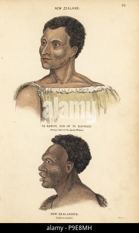 Portrait de Te Kewiti Kauwain, fils de Te, jeune chef des Maoris Ngate Watnas, Nouvelle-Zélande, et portrait d'un Maori tatoué, néo-zélandais, dessiné à Londres par Agasse. Gravure coloriée par Lizars après une illustration par Charles Hamilton Smith, de son histoire naturelle de l'espèce humaine, Édimbourg, W. H. Lizars, 1848. Banque D'Images