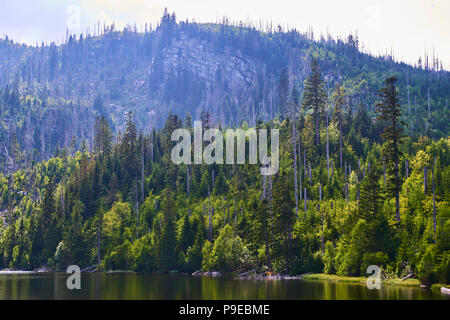 Plesne Lake dans le parc national de Sumava (forêt de Bohême) en République Tchèque Banque D'Images