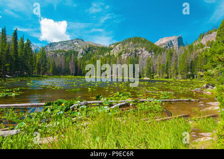 Nymphe Lake dans le Parc National des Montagnes Rocheuses. Un petit lac pittoresque, mais c'est accessible à l'aide d'un demi-mile randonnée modérée. Banque D'Images