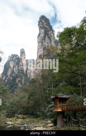 Paysage de Zhangjiajie. Prises à partir de la vieille maison. Situé dans d'intérêt panoramique et historique de Wulingyuan Région qui a été désigné site du patrimoine mondial de l'UNESCO ainsi qu'AAAAA scenic area en Chine. Banque D'Images