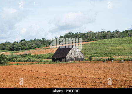 Une grange pittoresque se trouve sur une plantation de tabac à Viñales, Cuba. Banque D'Images