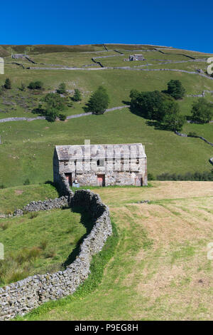 Domaine grange traditionnelle dans un nouveau portrait prairie au haut de Swaledale, avec Kisdon colline derrière. Banque D'Images