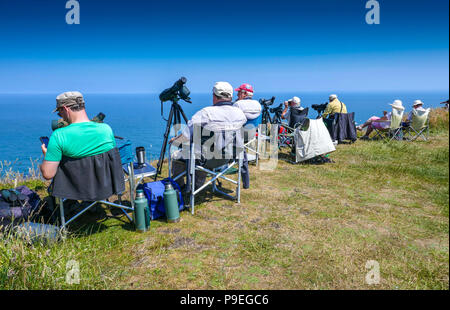 Les observateurs d'oiseaux avec des télescopes et l'été météo à Flamborough Head, facile Yorkshire Banque D'Images
