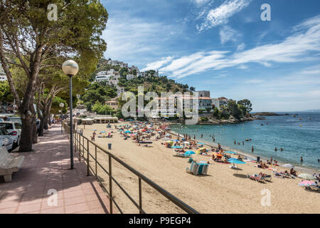 Canyelles roses sur le Cap Creus Costa Brava Banque D'Images