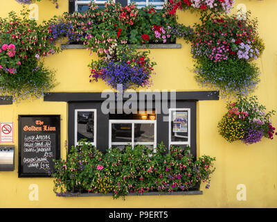 Belle fleur et zones de la fenêtre affiche au Golden Lion Hotel et pub à Padstow Cornwall UK Banque D'Images