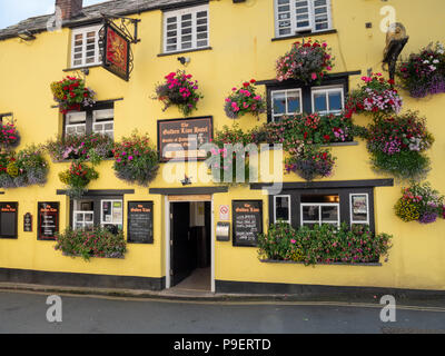 Belle fleur et zones de la fenêtre affiche au Golden Lion Hotel et pub à Padstow Cornwall UK Banque D'Images