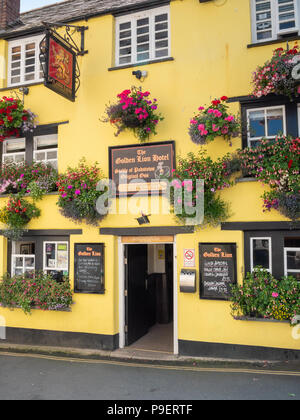 Belle fleur et zones de la fenêtre affiche au Golden Lion Hotel et pub à Padstow Cornwall UK Banque D'Images