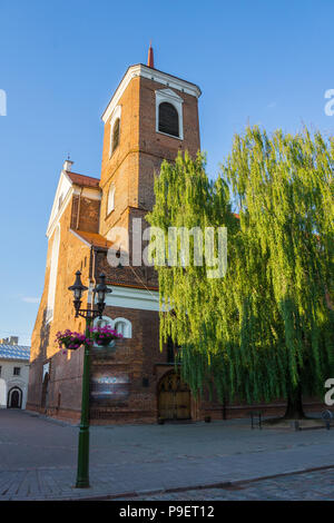 La Lituanie, la basilique-cathédrale de briques rouges derrière arbre vert à Kaunas old town Banque D'Images