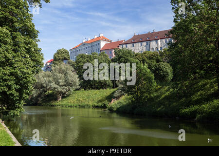 La colline de Toompea à la vieille ville avec de vieux bâtiments vus de Toompark à Tallinn, Estonie, lors d'une journée ensoleillée en été. Banque D'Images