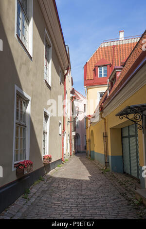 Les bâtiments anciens et étroits et rue vide sur la colline de Toompea à la vieille ville de Tallinn, Estonie, lors d'une journée ensoleillée en été. Banque D'Images