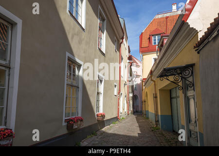 Les bâtiments anciens et étroits et rue vide sur la colline de Toompea à la vieille ville de Tallinn, Estonie, lors d'une journée ensoleillée en été. Banque D'Images