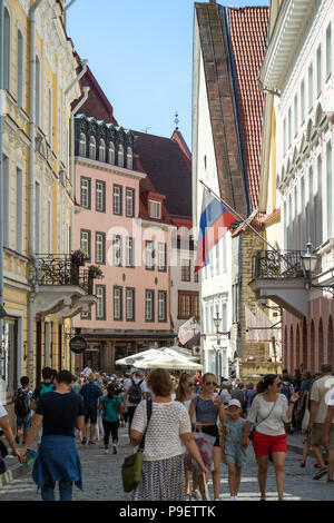 Les vieux bâtiments et un grand nombre de touristes sur la rue Pikk à la vieille ville de Tallinn, Estonie, lors d'une journée ensoleillée en été. Banque D'Images