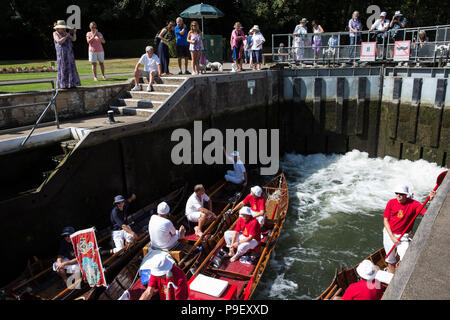 Harlow, UK. 16 juillet, 2018. Swan Lever navires empruntent Shepperton serrure sur le premier jour de la cérémonie annuelle de cinq jours sur le recensement de surenchère Swan River Thames. Augmenter la collecte nécessite de Swan, le marquage et la libération de tous les cygnets, ou le cygne tuberculé, sur la rivière. Elle remonte à plus de 800 ans, à quand l'État revendiqué la propriété de tous les cygnes tuberculés. Le premier jour du recensement a lieu entre Sunbury et de Windsor. Credit : Mark Kerrison/Alamy Live News Banque D'Images