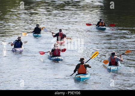 Harlow, UK. 16 juillet, 2018. Les kayakistes sur la Tamise. Credit : Mark Kerrison/Alamy Live News Banque D'Images