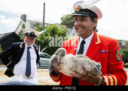 Harlow, UK. 18 juillet, 2016. David Coiffure MVO, le Queen's Swan Marqueur, rassemble les cygnes tuberculés et les parents avec les autres Swan empeignes sur la Tamise au cours de la première journée de la Swan Augmenter recensement. Swan augmenter est une cérémonie annuelle de cinq jours recensement swan exigeant la collecte, le marquage et la libération de tous les cygnets, ou le cygne tuberculé, sur la Tamise. Elle remonte à plus de 800 ans, à quand l'État revendiqué la propriété de tous les cygnes tuberculés. Le premier jour du recensement a lieu entre Sunbury et de Windsor. Credit : Mark Kerrison/Alamy Live News Banque D'Images