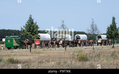 18 juillet 2018, Borgwalde, Allemagne : les wagons du plan peut être vu sur une rue au sud-ouest de Berlin. L'élevage de chevaux lourds et Sports Association Brueck e.V. est l'hôte d'un wagon trail plan via la Pologne, Kaliningrad, la Lituanie, la Lettonie, l'Estonie à Krasnodar en Russie. La visite sera pour l'unité et contre la haine et l'absence de manque de compréhension, d'une Europe réconciliée, libre. Photo : Bernd von Jutrczenka/dpa Banque D'Images