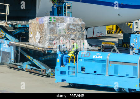 L'équipe au sol fret KLM chargement dans la cale d'un KLM Boeing 787-9 Banque D'Images