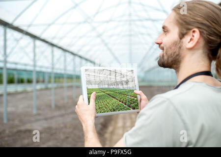 Agriculteur avec le comprimé dans la serre Banque D'Images