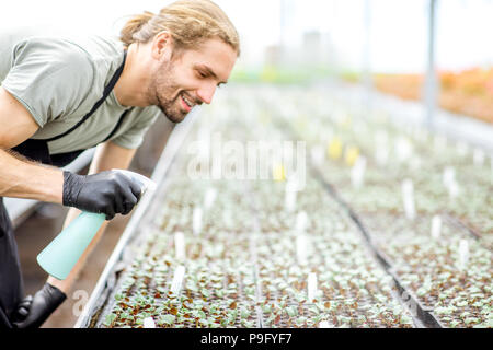 Sur l'eau d'arrosage travailleur plants Banque D'Images