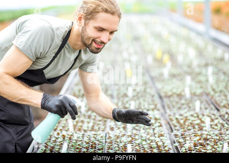 Sur l'eau d'arrosage travailleur plants Banque D'Images