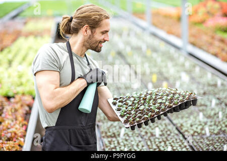 Sur l'eau d'arrosage travailleur plants Banque D'Images