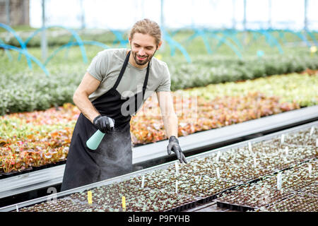 Sur l'eau d'arrosage travailleur plants Banque D'Images