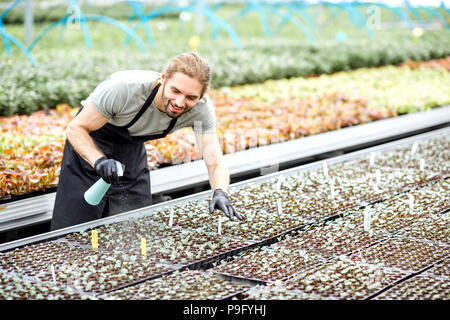 Sur l'eau d'arrosage travailleur plants Banque D'Images