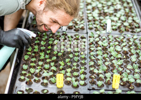 Sur l'eau d'arrosage travailleur plants Banque D'Images