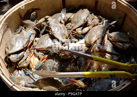 Un seau de crabes frais sur Boston's Haymarket Banque D'Images