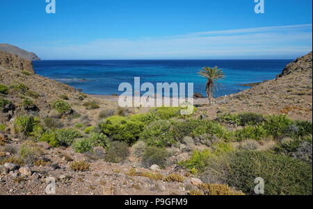 Wild Cove dans le parc naturel Cabo de Gata-Níjar, Cala de los toros près de la Isleta del Moro, mer méditerranée, Almeria, Andalousie, Espagne Banque D'Images