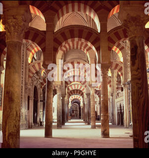 Vue intérieure avec des colonnes de marbre, granit et Jasper dans la mosquée de Cordoue. Banque D'Images
