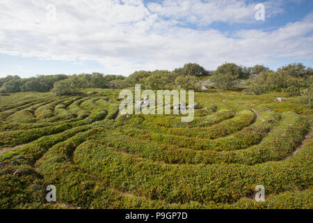 Labyrinthe de Pierre néolithique, Îles Solovetsky, Russie Banque D'Images