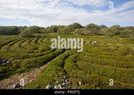 Labyrinthe de Pierre néolithique, Îles Solovetsky, Russie Banque D'Images