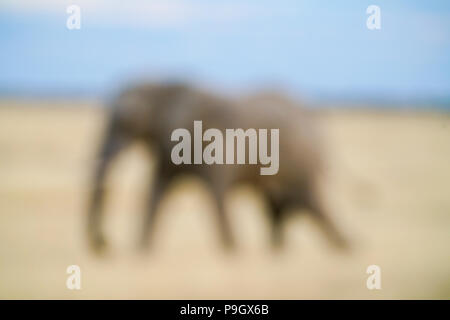 Un seul éléphant floue pour la marche arrière passé dans le parc d'Etosha, Namibie. Banque D'Images