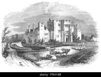 Le bétail et les moutons en face de Hever Castle est situé dans le village de Hever, Kent, près de Saint-hippolyte, 30 miles au sud-est de Londres, en Angleterre. Il a commencé comme une maison de campagne, construite au 13e siècle. De 1462 à 1539, elle fut le siège de l'Boleyn (à l'origine 'Bullen') famille. Anne Boleyn, la deuxième épouse du roi Henri VIII d'Angleterre, a passé sa première jeunesse là après son père, Thomas Boleyn, hérité en 1505. Le château passa à lui à la mort de son père, Sir William Boleyn. Plus tard, il est entré en la possession du Roi Henry VIII de la quatrième épouse, Anne de Clèves. Banque D'Images