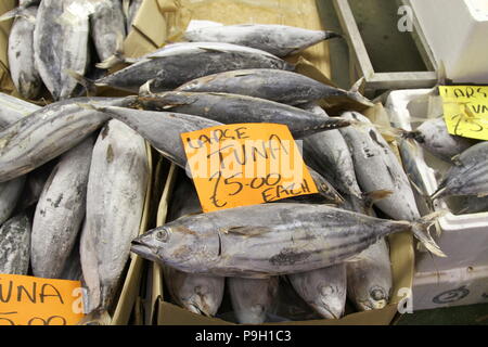 Le poisson. Marché aux poissons. La nourriture de poisson. Pour la vente de poisson dans le marché aux poissons de Billingsgate, Londres, Royaume-Uni. Crédit photo Russell Moore. Banque D'Images