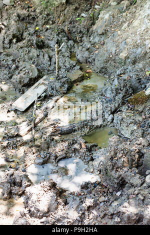 Tour à Shapsugskaya - zone anomale mudpot Solonetzes Solontci (printemps) dans Abinsk contreforts des montagnes du Caucase dans la région du Kouban de Russie Banque D'Images